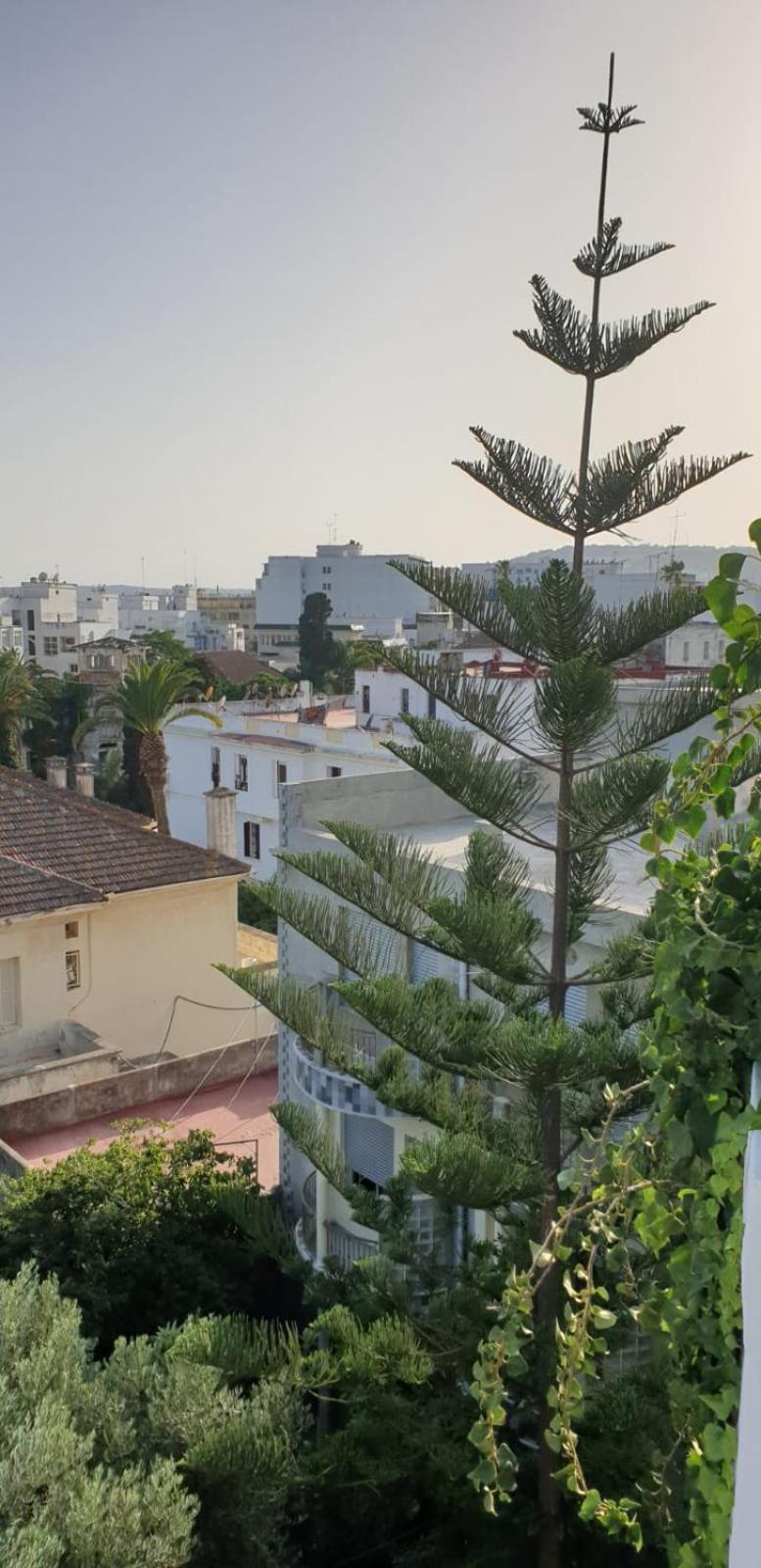 Guesthouse Kasbah Old Medina Tanger Zewnętrze zdjęcie
